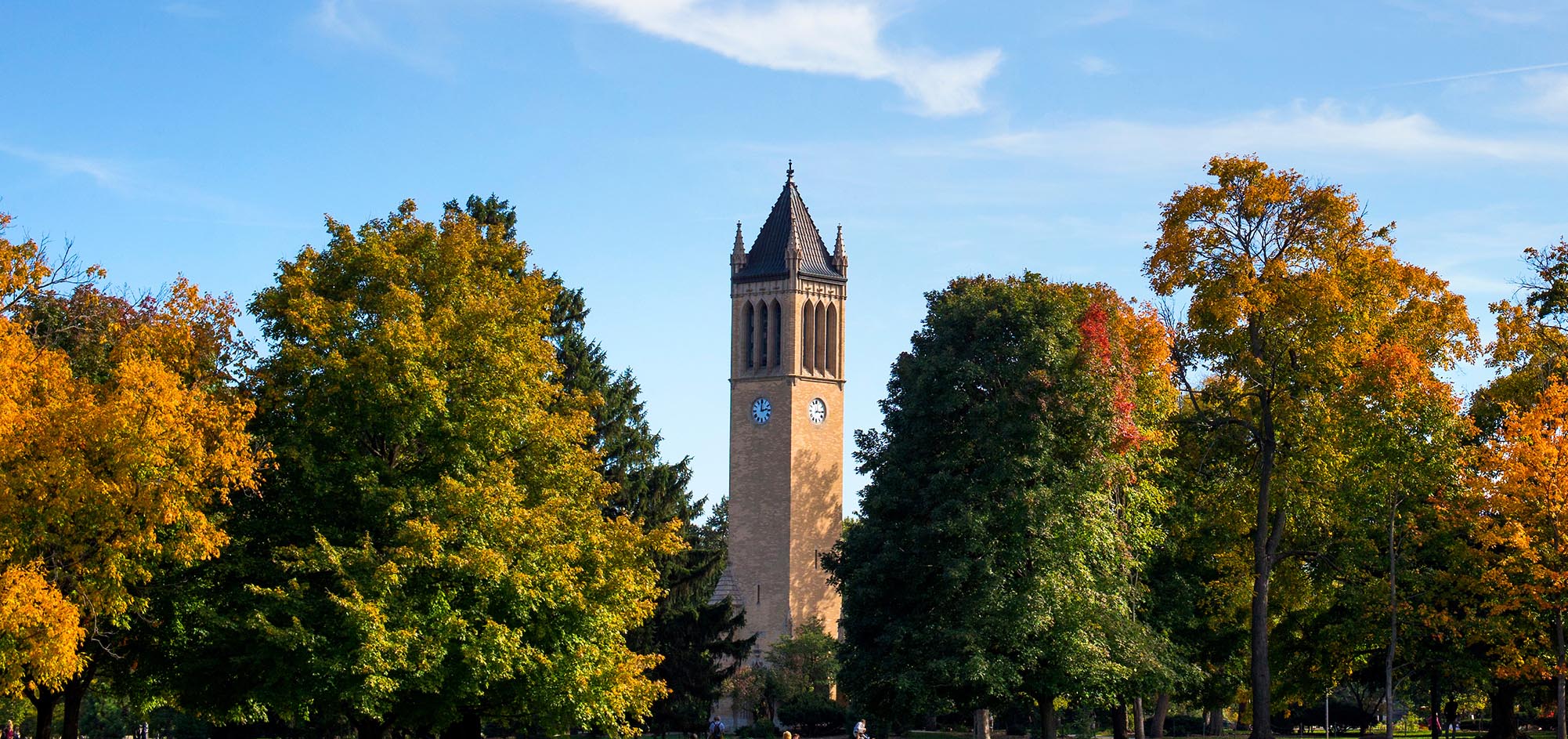 Fall view of central campus and the campanile.